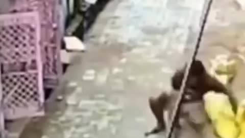 Latest viral video of the day