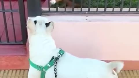 #Unlucky 🐈‍⬛