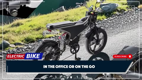 RANDRIDE DM711 Electric Bike 2000W 20Ah 20 Inch Fat Tire Electric Dirt Bike