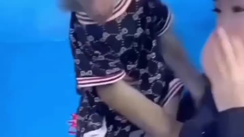funny videos