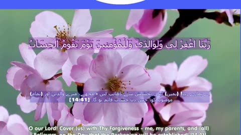 40 Rabbana Duas (Dua no 27)