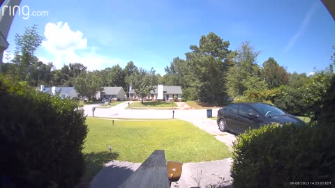 Mantis Dances on Doorbell Camera