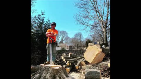 Berrys Tree Service LLC