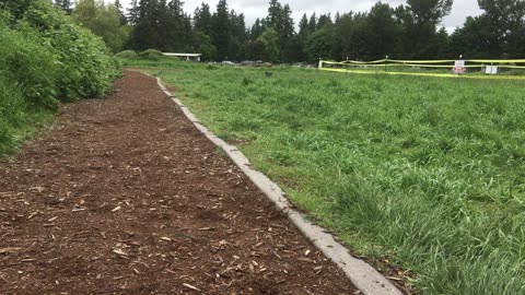 marymoor park patrol 21908432908423