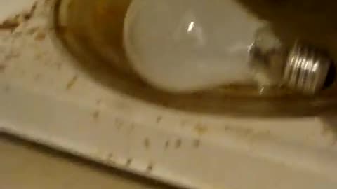 Microwave light bulb