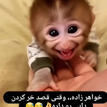 : شیطنت خواهرزاده وقتی می‌خواد دایی رو خر کنه Niece's mischievous smile trying to win over uncle