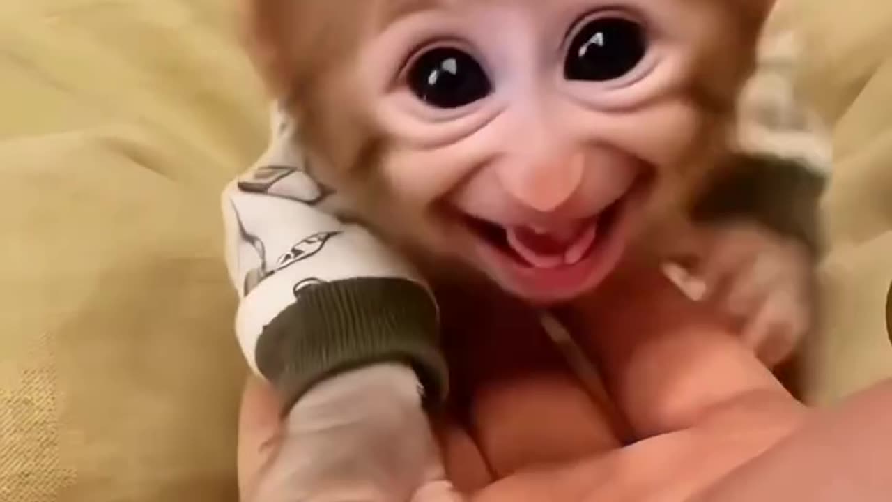 : شیطنت خواهرزاده وقتی می‌خواد دایی رو خر کنه Niece's mischievous smile trying to win over uncle