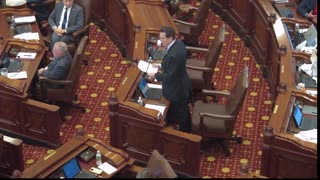 Illinois Senate Strip "Mother" and "Father"