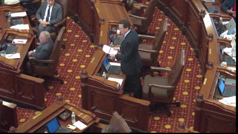 Illinois Senate Strip "Mother" and "Father"