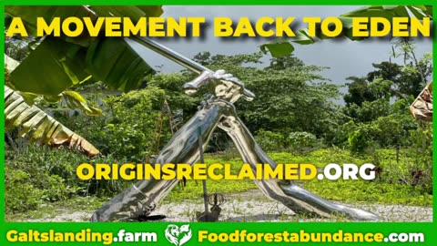 ORIGINS RECLAIMED