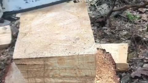 How to make a chair out of a tree stump using a chainsaw