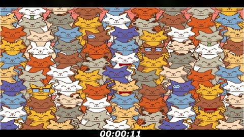 Rabbit puzzle: Where he is? There's a rabbit with the cars, got a clue?