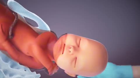 Child Birth Procedure Through Normal Delivery 3D Animation