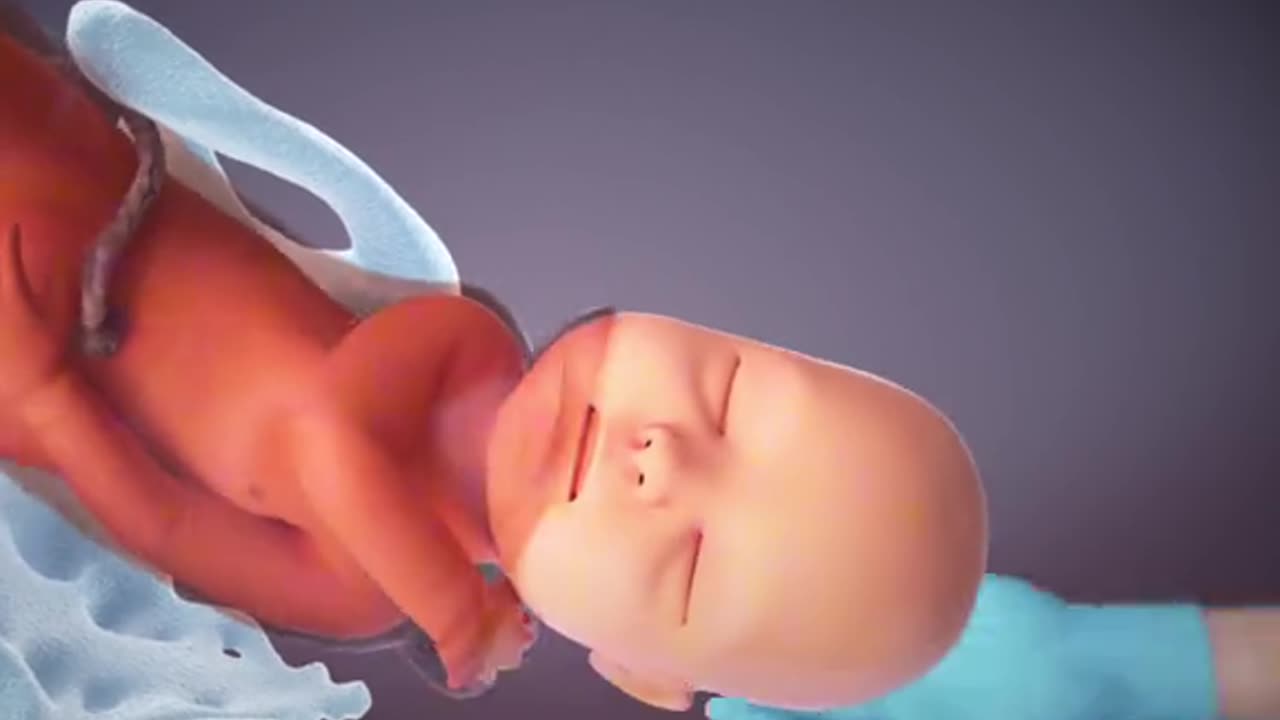 Child Birth Procedure Through Normal Delivery 3D Animation