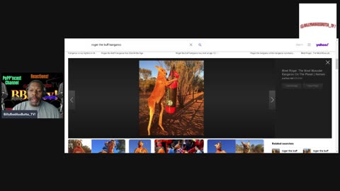 KILLER KANGAROOS