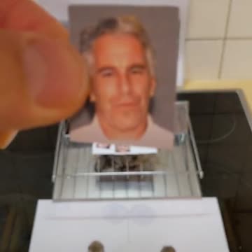 Tim Rifat TikTok Videos