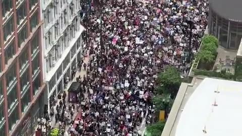 Meanwhile in Chi-Raq (Reeee/No Kings Protest) 6/14/25