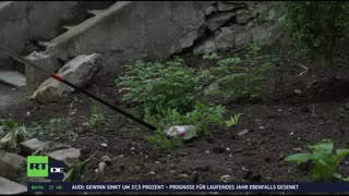 RT DE Live-TV