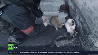 RT DE Live-TV