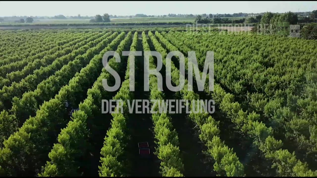 RT DE Live-TV