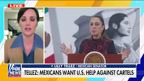 Mexican senator drops bombshell: Sheinbaum wants to be the 'next Venezuela'