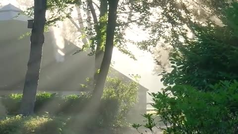 Daily Horoscope | Taurus 🌟