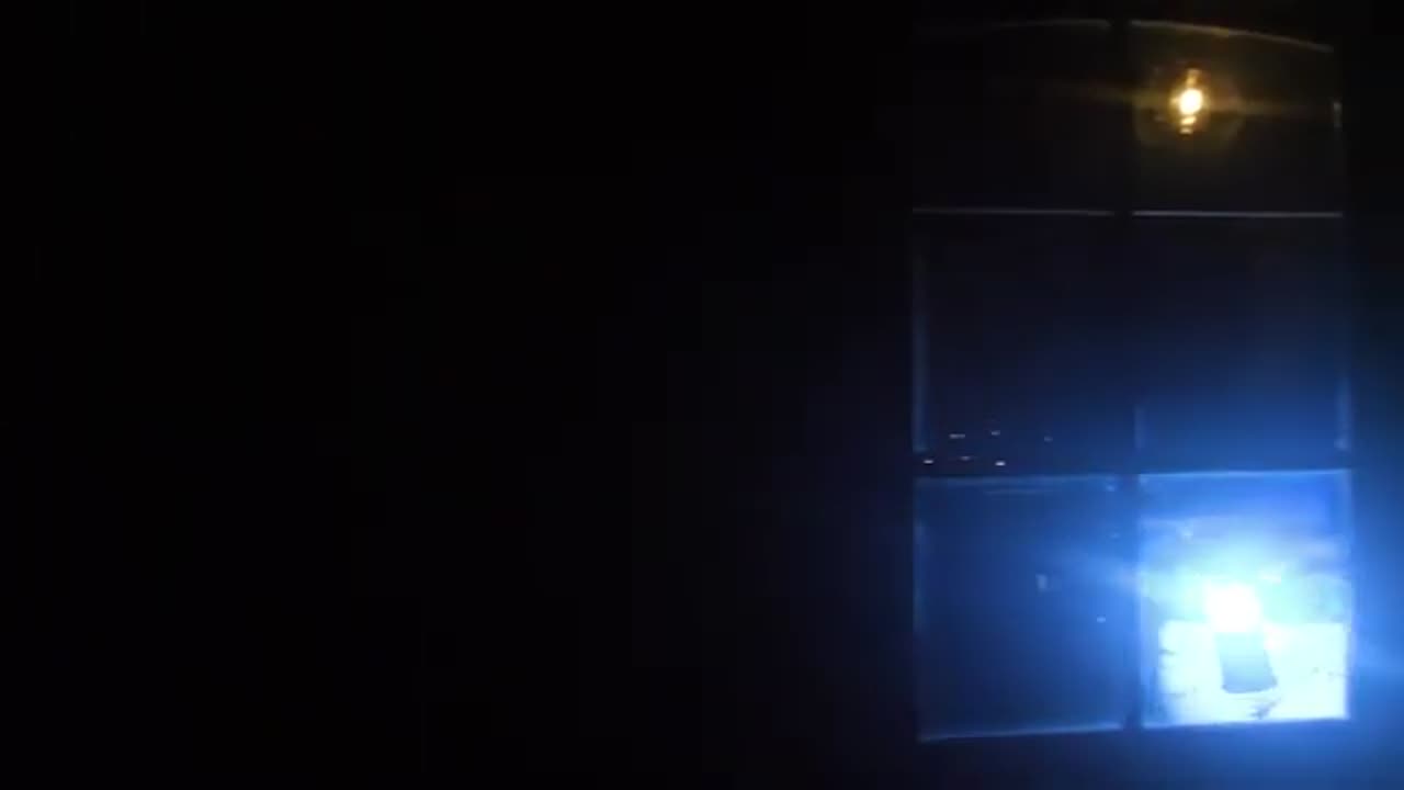 NATIVE AMERICANS REVEAL DEEP WOODS SECRET