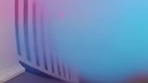 Bait package is so much fun!