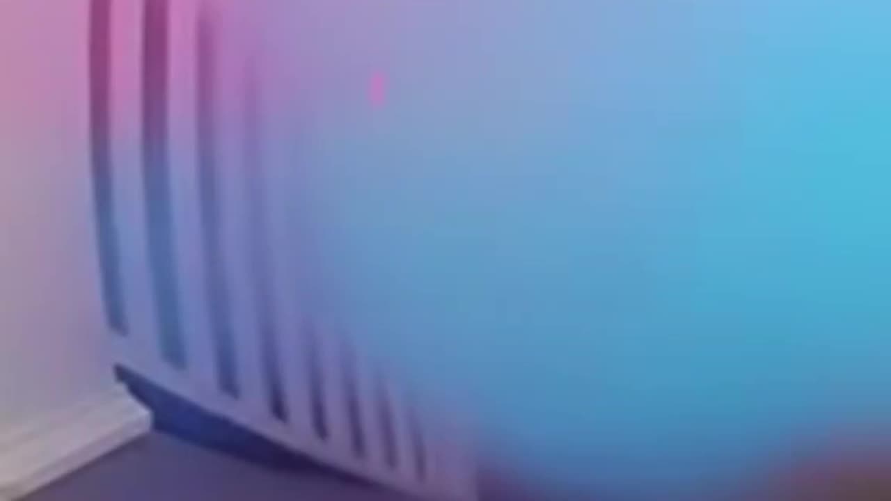 Bait package is so much fun!