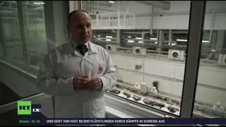 RT DE Live-TV