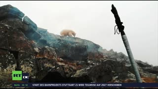 RT DE Live-TV