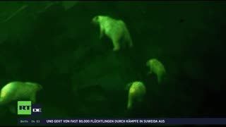 RT DE Live-TV