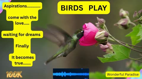 Birds hug the flower