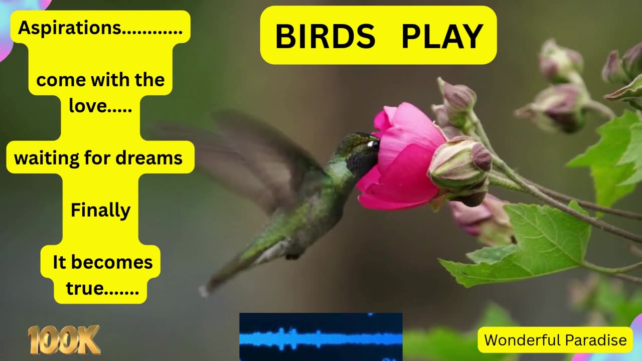 Birds hug the flower