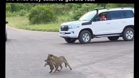 😱