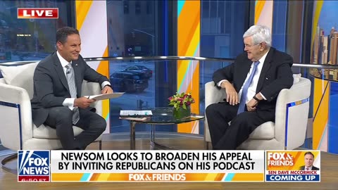 Newt Gingrich makes fun of Democrats' most recent Trump jab.