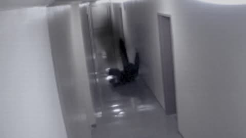Camera catch a ghost