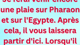 « Dieu annonce la dernière plaie » exodus 11:1 #shortvideo #shorts #youtube #youtubeshorts #ytshorts