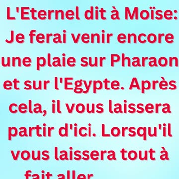« Dieu annonce la dernière plaie » exodus 11:1 #shortvideo #shorts #youtube #youtubeshorts #ytshorts