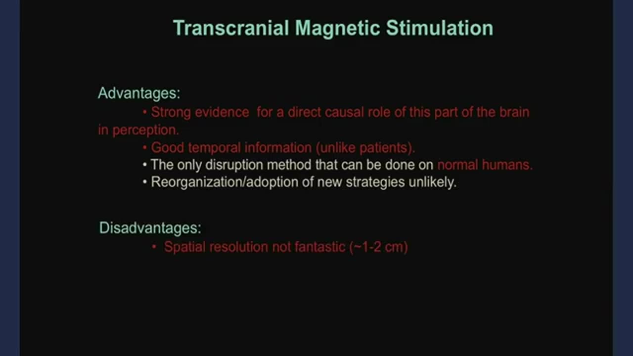 6. Introduction to the Human Brain