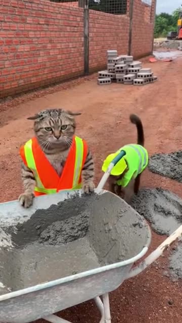 Construction Site Fights