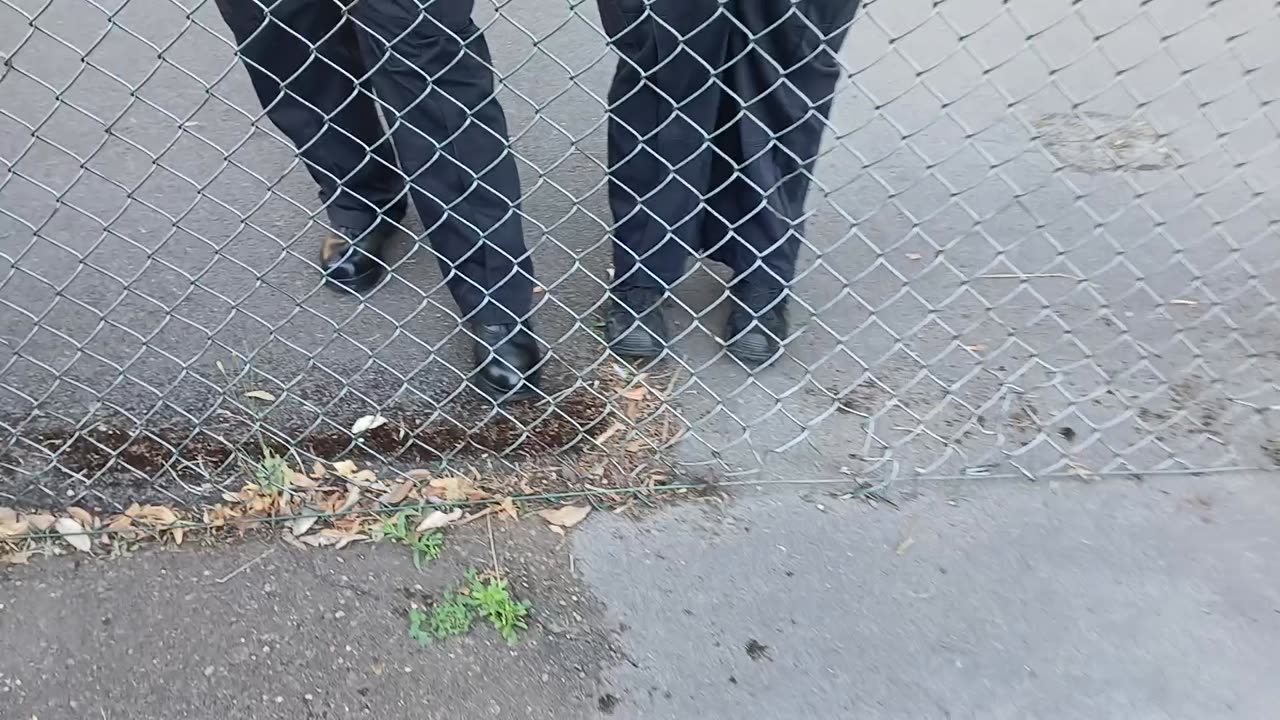 Coppers knees at the fence