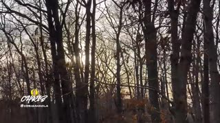 WALKING THROUGH LEAVES!