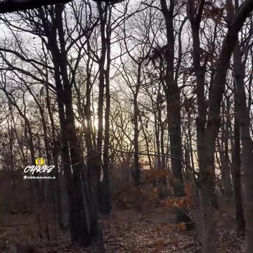 WALKING THROUGH LEAVES!