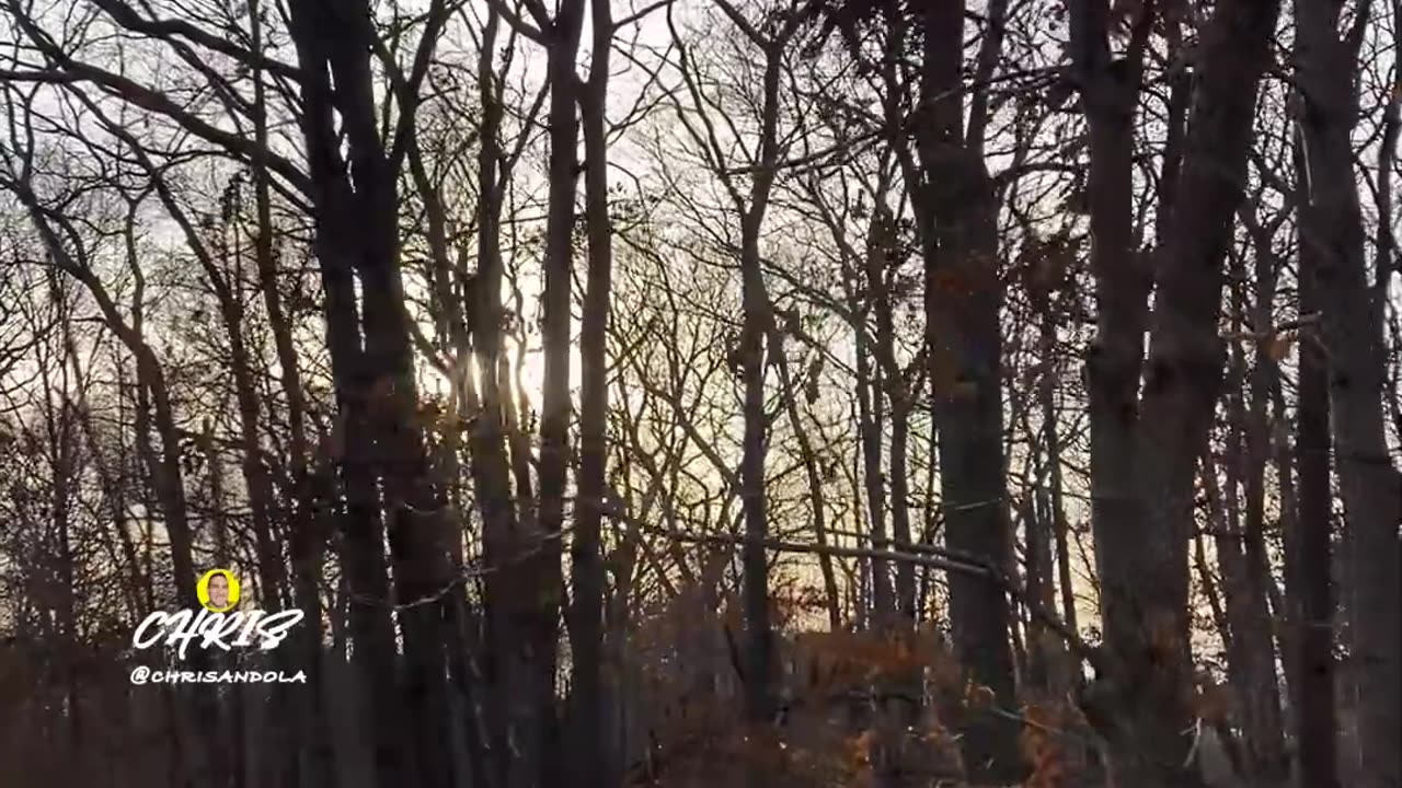 WALKING THROUGH LEAVES!