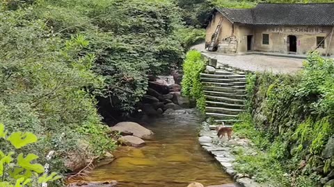 nature village
