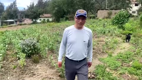 Peruvian farmer sues German energy firm over melting glaciers