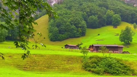 Welcome to beauty of nature - 00007