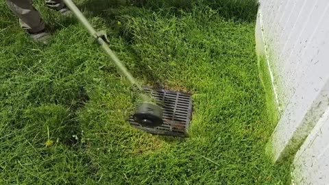 Clean It Up Or We Are Going To FINE YOU_part2