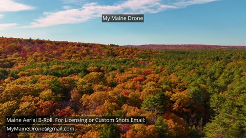 Maine B-Roll (No Sound): Fall Foliage at Lily Pond in New Gloucester, Maine Video 18